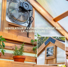 Load image into Gallery viewer, Backyard Discovery Bellerose XL Greenhouse 13×11 Cedar Wood Garden Greenhouse