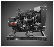 Load image into Gallery viewer, Wildcat FR0010D4 10kW Frontier 1ph Tier 4F Diesel Generator