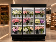 Load image into Gallery viewer, Visual 78'' Wide 34''Deep Three Glass Door Merchandiser Cooler OFC 78''HE20 72.5 Cu Ft