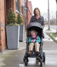 Load image into Gallery viewer, Special Tomato Eio Pushchair With Postural Support
