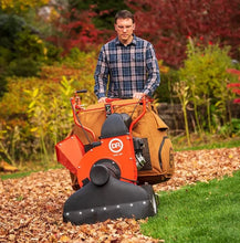 Load image into Gallery viewer, DR Power Premier Walk-Behind Lawn and Leaf Vac – 28 Inch